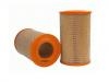 Luftfilter Air Filter:4434852