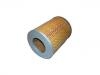 Air Filter:17801-67040