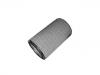 Luftfilter Air Filter:11033998