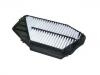 Luftfilter Air Filter:17220-P0A-G00