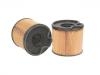 Fuel Filter:1906.51