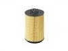 Filtre carburant Fuel Filter:21040558