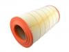 Luftfilter Air Filter:1638054