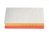 Filtro de aire Air Filter:9072249
